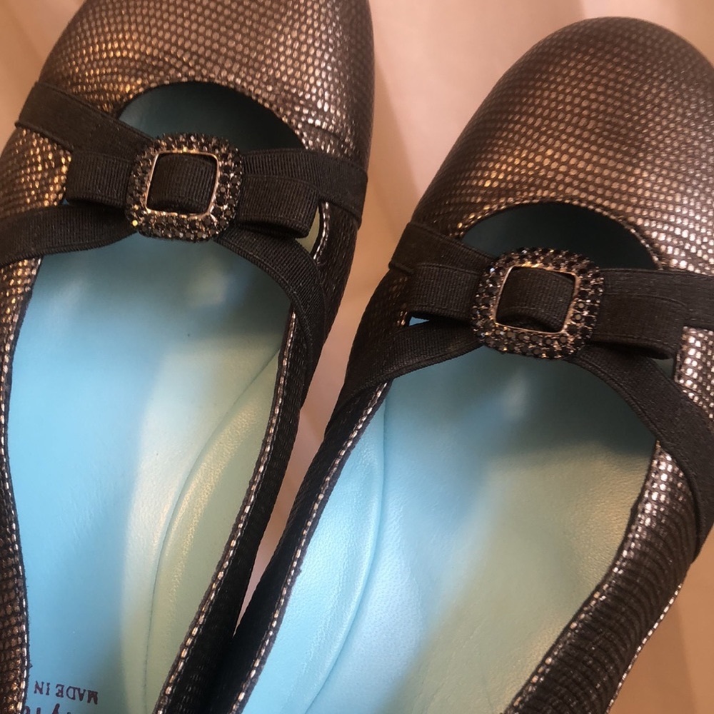 Thierry Ranotin ballet flats EUC